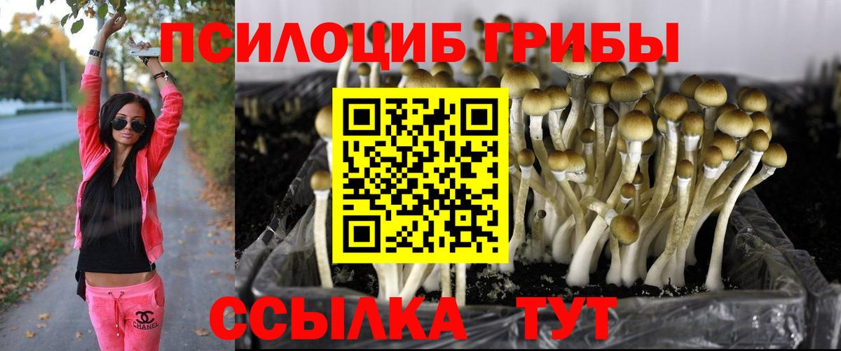 Галлюциногенные грибы Magic Shrooms  Вход с VPN  Отрадный 